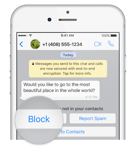 How To Report A WhatsApp Message ? Stay Safe On WhatsApp TechBurner