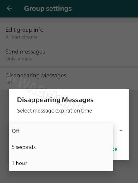 Whatsapp disappearing messages 