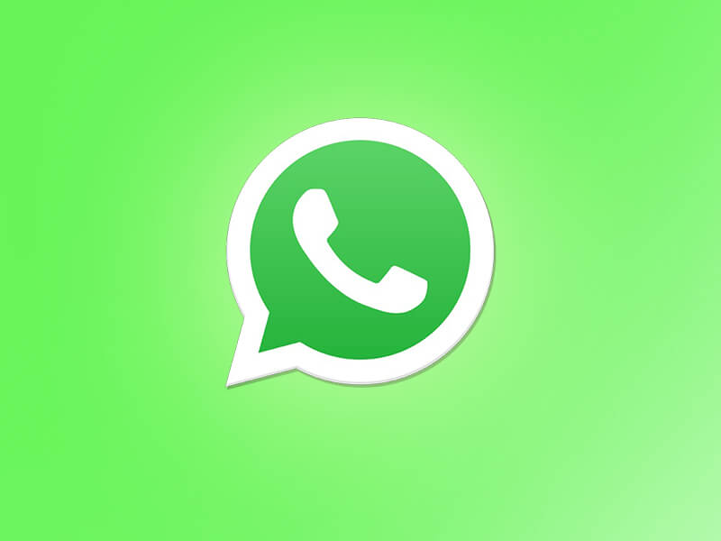 WhatsApp mute video feature, WhatsApp video, mute video feature, Whatsapp features