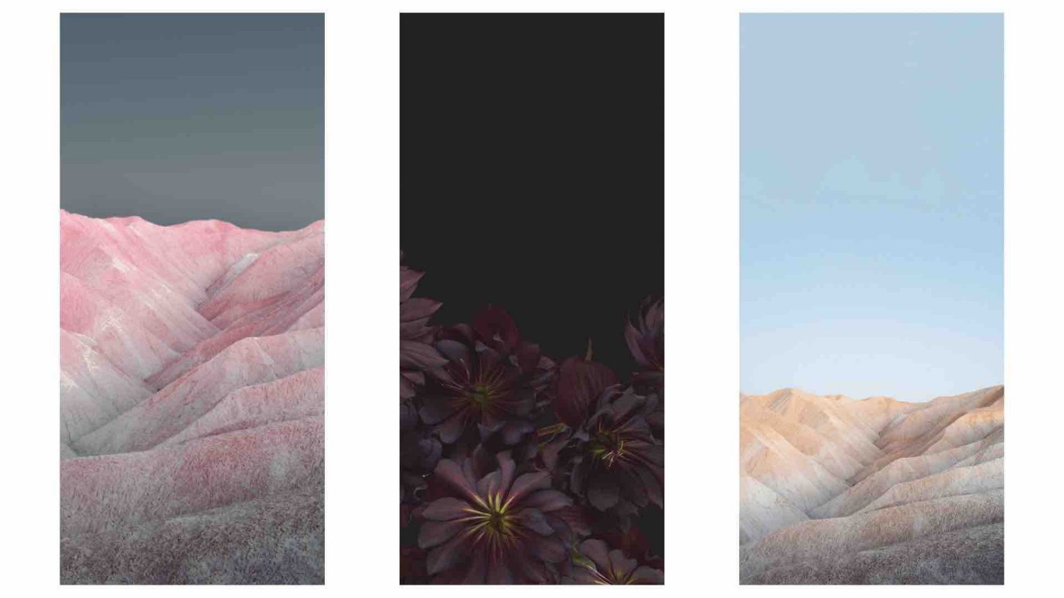 Download Android 12 Wallpapers in HD TechBurner