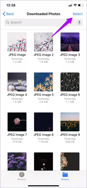 convert images into pdf on iPhone