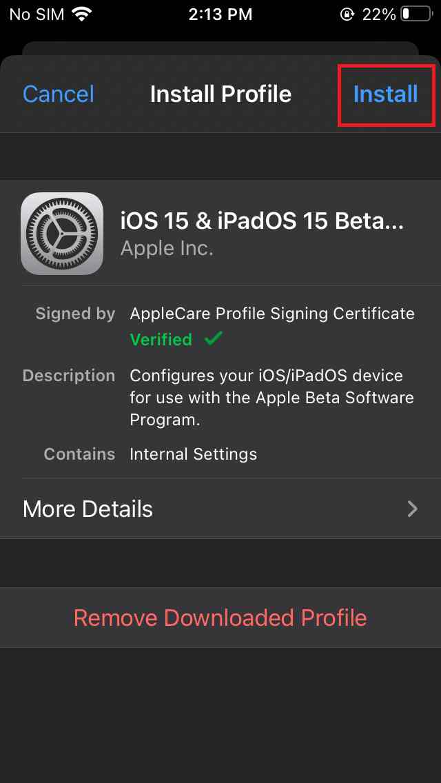 iPadOS 15.2 beta