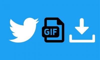 save gif from twitter iphone, how to save gif from twitter on computer , how to save gif from twitter on android, best twitter gif downloader, save gif from twitter online, save gif from twitter website, save gif from twitter desktop, save gif from twitter link, save animated gif from twitter