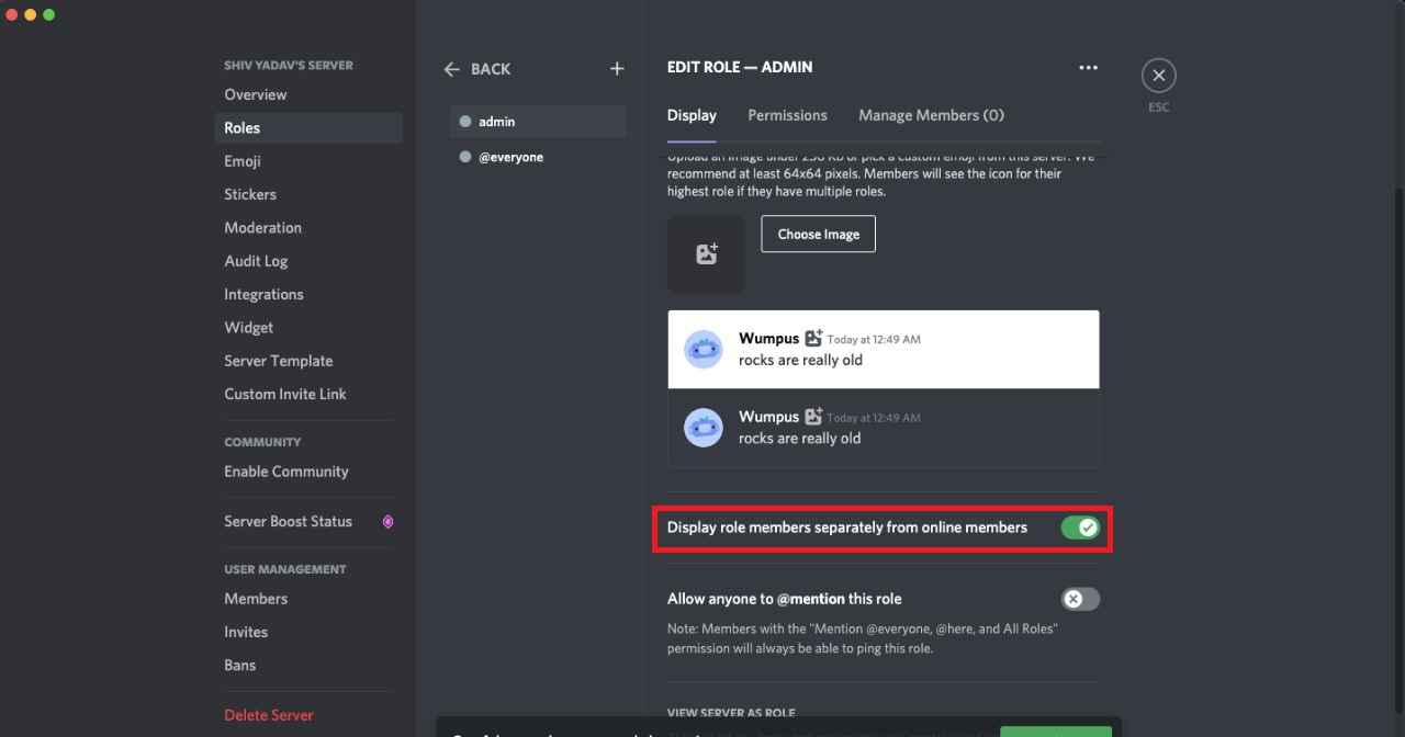 Display role members separately from online members in discord