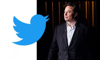 why elon musk has put twitter deal on hold, elon musk twitter deal on hold, elon musk twitter deal, elon musk twitter issues, reasons for putting twitter deal on hold